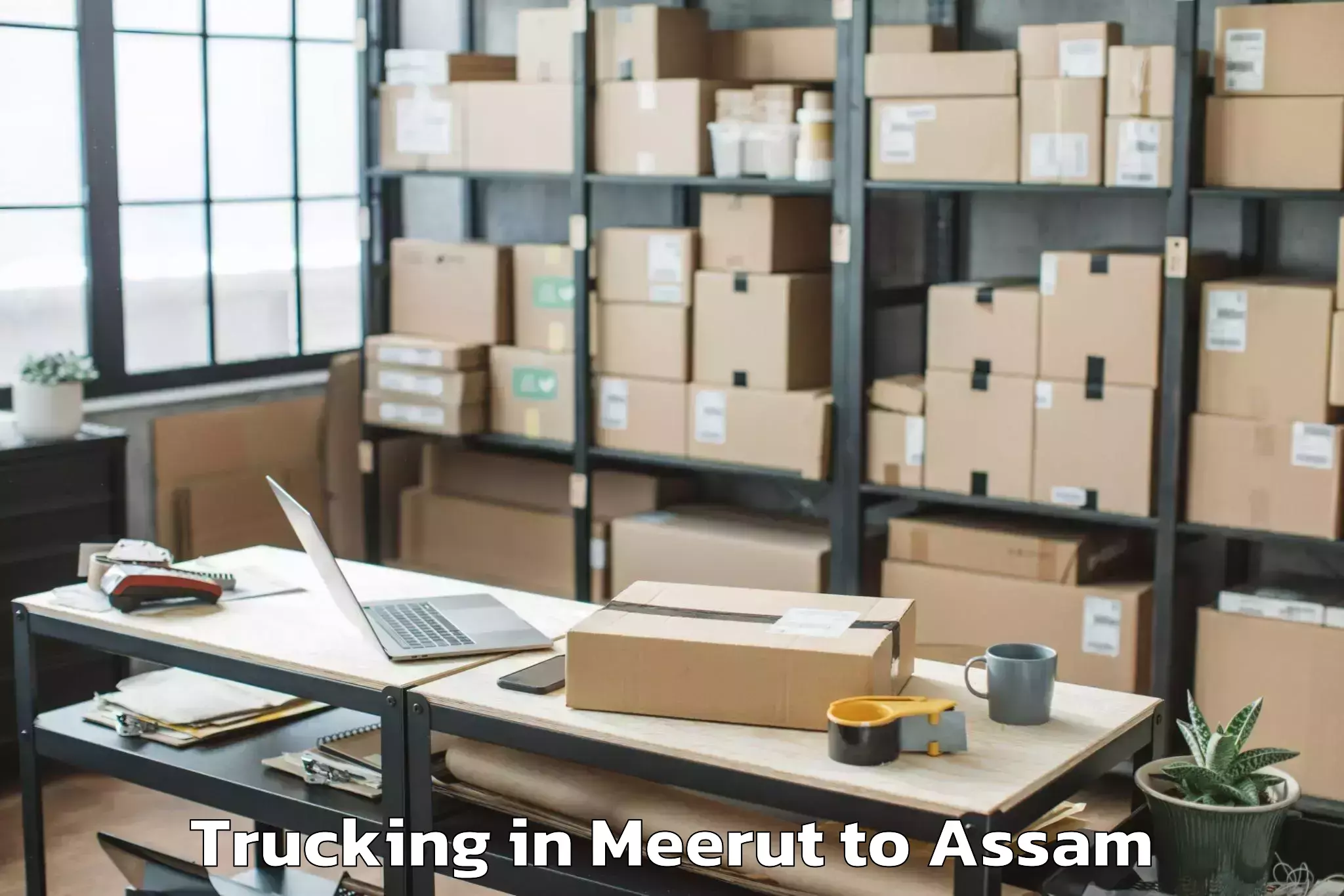 Book Meerut to Abhayapuri Trucking Online